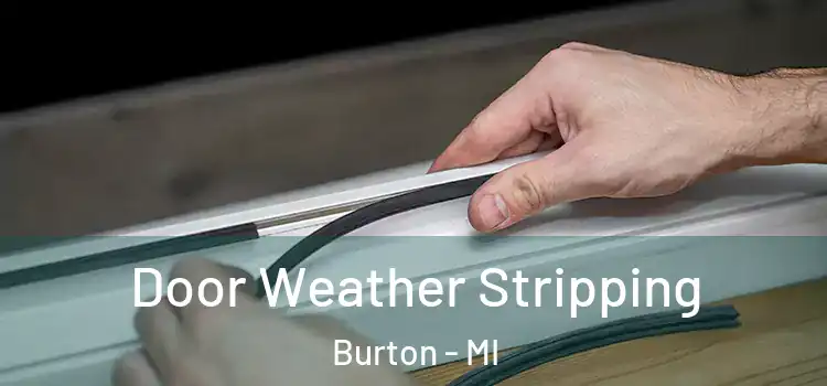 Door Weather Stripping Burton - MI