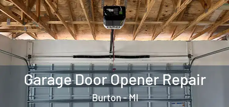  Garage Door Opener Repair Burton - MI