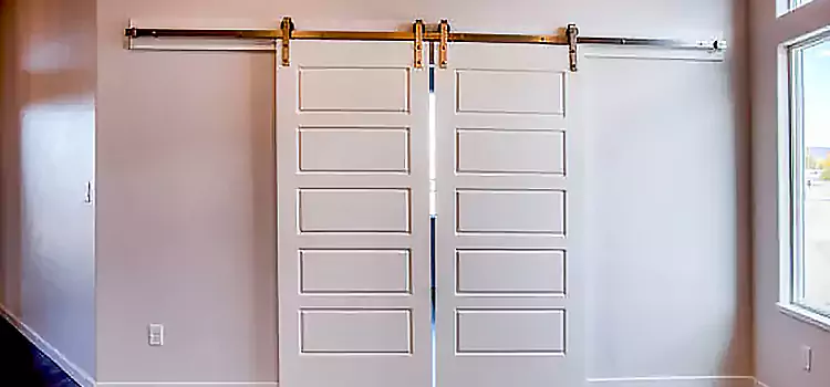 Glass Barn Door with Installation Hardware Kit Burton