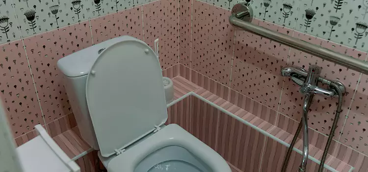 Meeting Diverse Needs With Accessible Restroom Solutions in Burton, MI